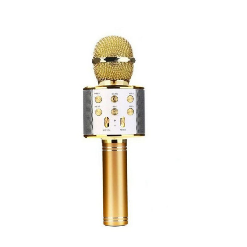 Loa Bluetooth Không Dây Ws858 / Mic Ws 858 Kèm Phụ Kiện