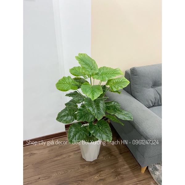 Cây giả - trầu bà viền xanh mẫu mới 1m/ 24 lá
