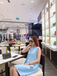 Đầm A xanh thêu