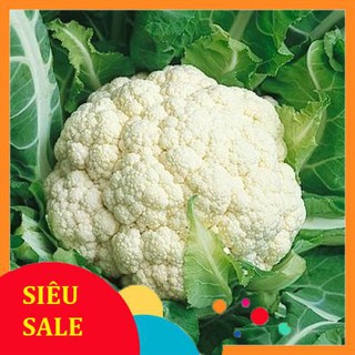 0.2g hạt giống súp lơ trắng chịu nhiệt vietphat