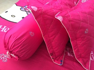 [RẺ VÔ ĐỊCH] Bộ ga gối Poly Cotton Hàn Quốc 4 món