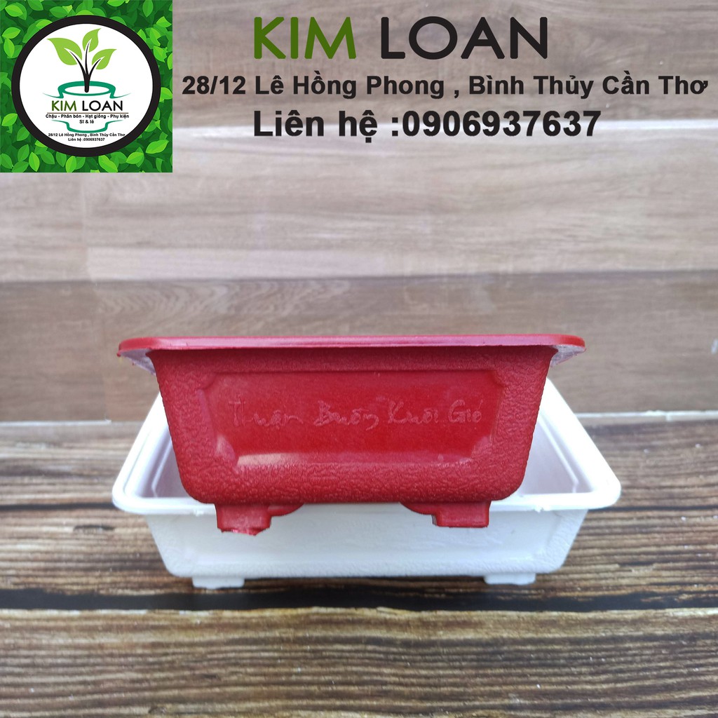 Combo 4 chậu nhựa bonsai chữ nhật mini 17x12x5cm