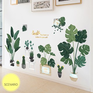 Decal dán tường Combo chậu cây size to