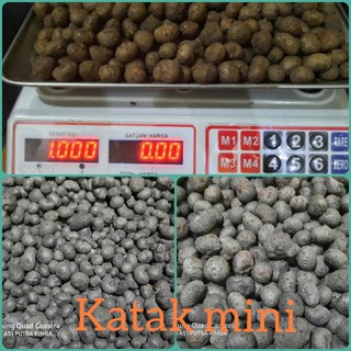 400-500 hạt mini ếch