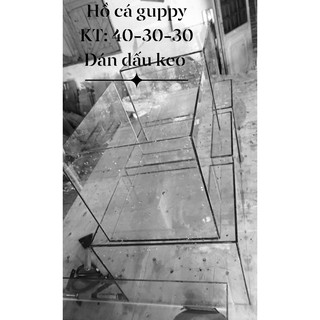 Hộp Lọc 3 ngăn