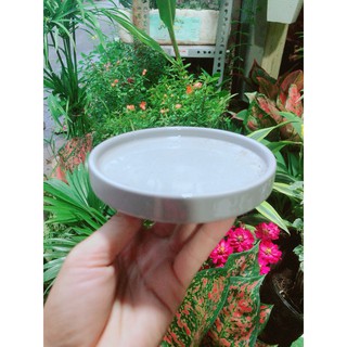 Đĩa Lót Chậu (đường kính 12cm)