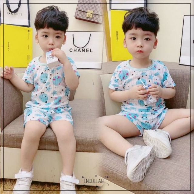 Combo 5 bộ cotton giấy cho bé