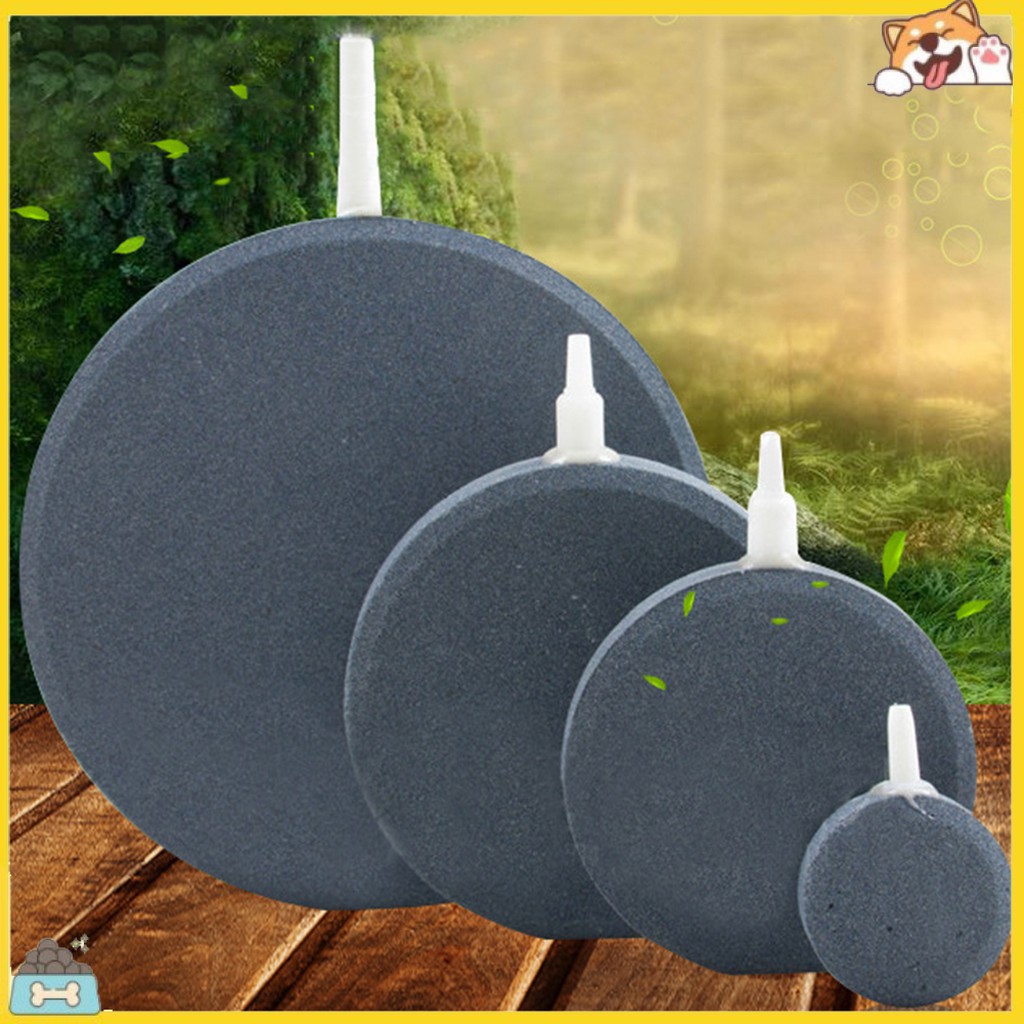 Thiết bị bơm bong bóng oxy cho bể cá