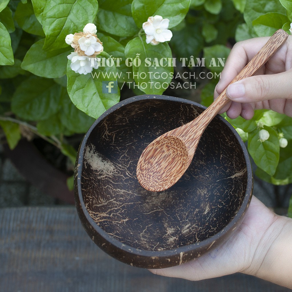 Chén Dừa, Muỗng Dừa Thân Thiện Môi Trường