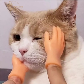 Đồ Chơi Tương Tác Thú Vị Độc Đáo Cho Thú Cưng
