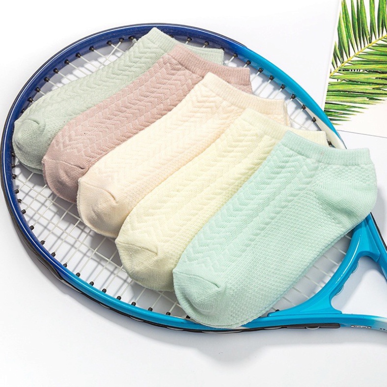 Set 5 tất ngắn cổ mềm mịn