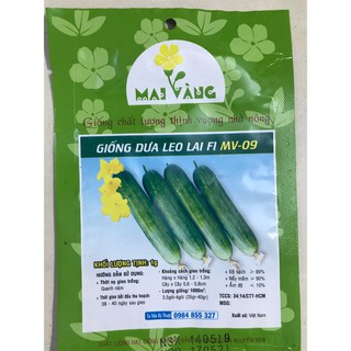 HẠT GIỐNG DƯA LEO LAI - HIỆU MAI VÀNG