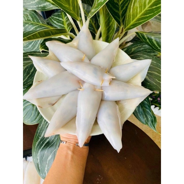 Mực ống nhồi thịt Phan Thiết tươi ngon 500g