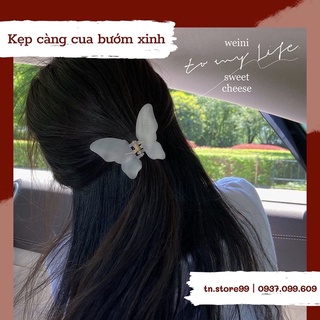 Kẹp càng cua 🦋 cực xinh