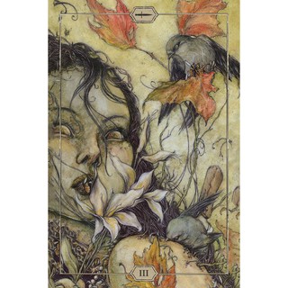 Bộ bài Hush Tarot
