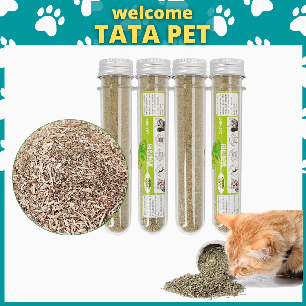 Cỏ Catnip Cỏ Bạc Hà Dạng Ống Cho Mèo Pet TATAPET