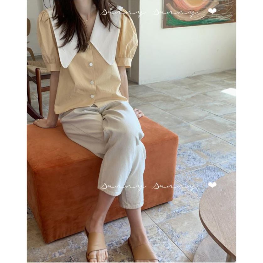 Áo sơ mi nữ ngắn tay cổ lá sen mix màu siêu xinh