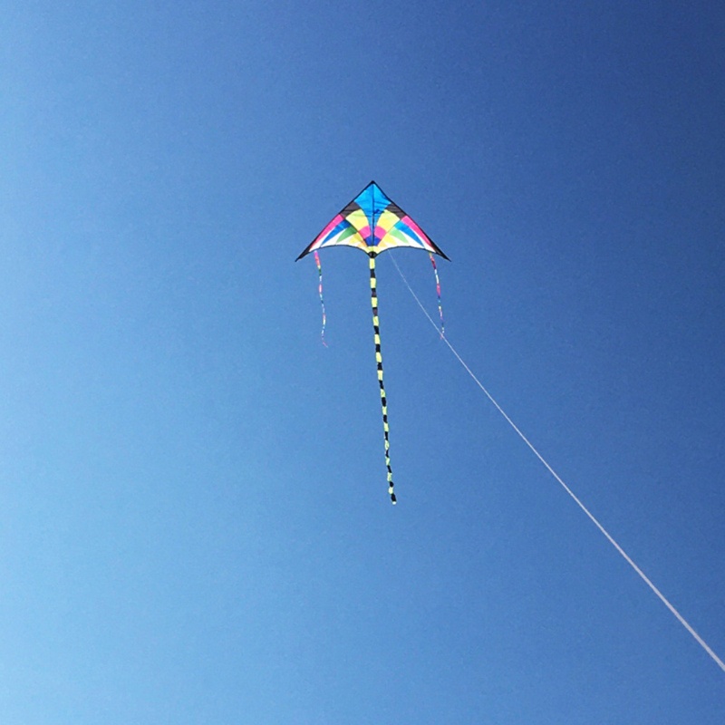 Diều Cỡ Lớn Có Tay Cầm Cho Người Lớn Và Trẻ Em 4-12 Tuổi