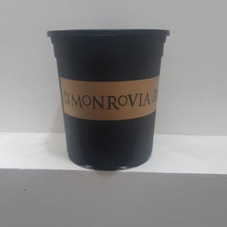 Chậu Monrovia VIỆT NAM 2GL ĐEN 23X22CM