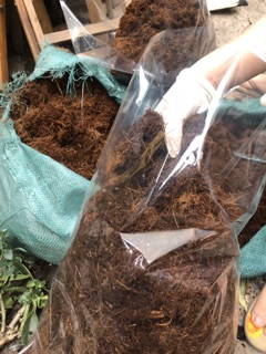 xơ dừa 1kg