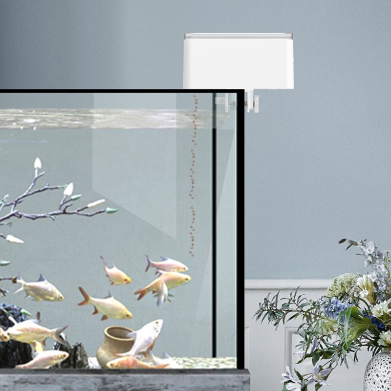 Máy cho cá ăn tự động có đèn LED hẹn giờ tiện lợi 70ml