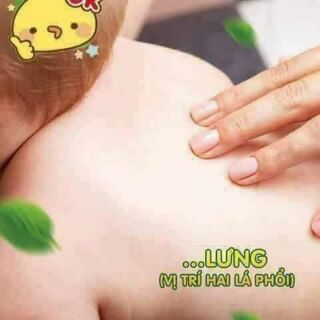Dầu tràm Thiên An