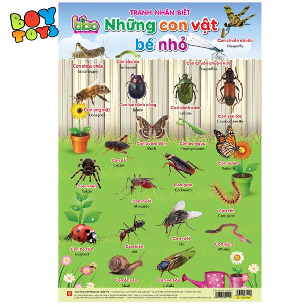 Bộ tranh treo tường 12 chủ đề song ngữ để bé học tập