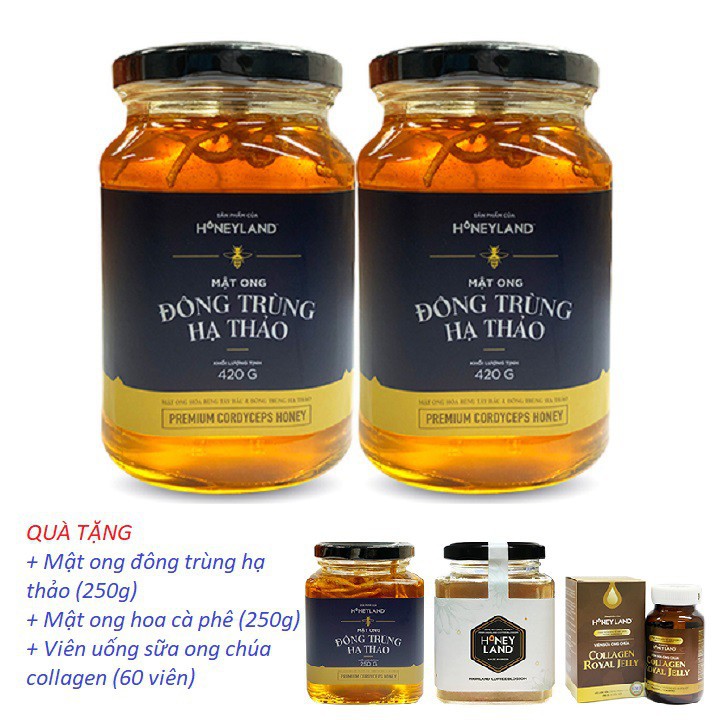 [HoneyLand]_2 chai mật ong Đông Trùng Hạ Thảo (420g/chai) tặng 2 hũ mật ong (250g/hũ) và 1 hộp 60v sữa ong chúa Collagen