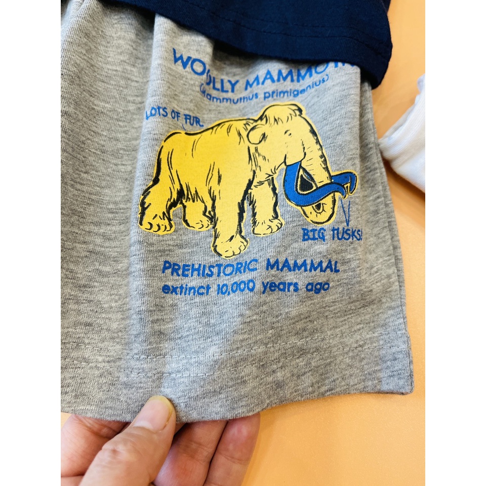 Set bộ quần áo bé trai size đại/ đồ bộ bé trai mặc nhà, đi học cộc tay chât thun cotton họa tiết hoạt hình - STP