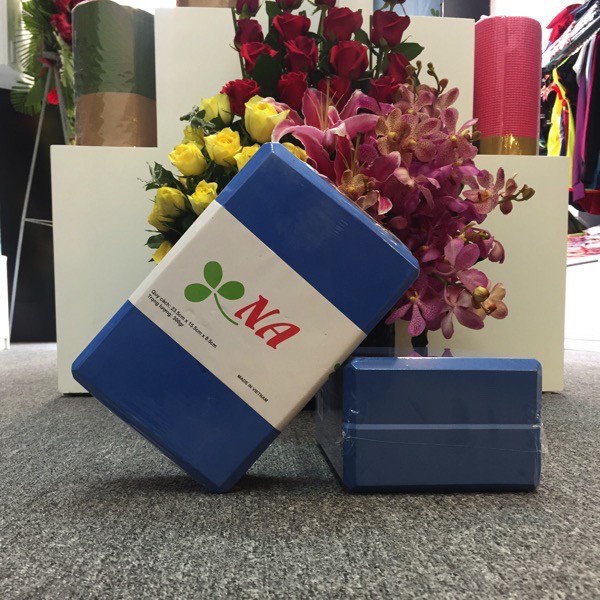 Combo 2 Gạch Tập Yoga Hebeyoga NA 300gr Cao Cấp