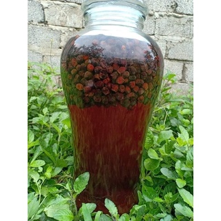Sim Rừng Khô Ngâm Rượu 1kg