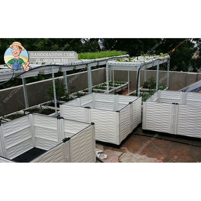 Chậu trồng cây ăn quả cỡ to 1 mét cao 56cm