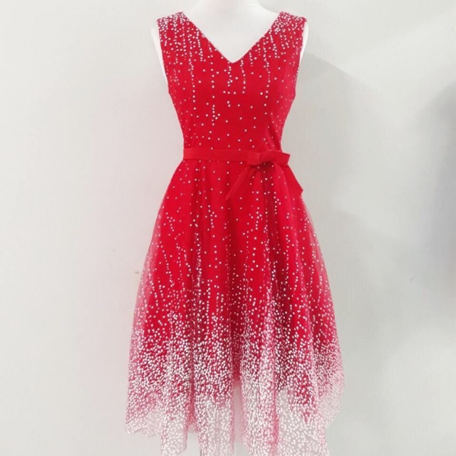 Đầm xòe 235k