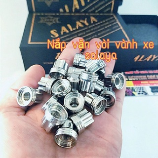 Nắp vòi xe inox 304 salaya gắn nhiều dòng xe