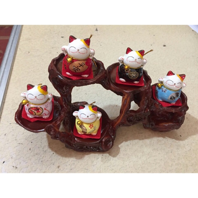 Bộ mèo thần tài