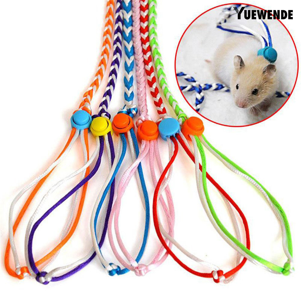 Dây Dắt Chuột Hamster/Thỏ Đi Dạo Tiện Dụng Dài 1.4/2m
