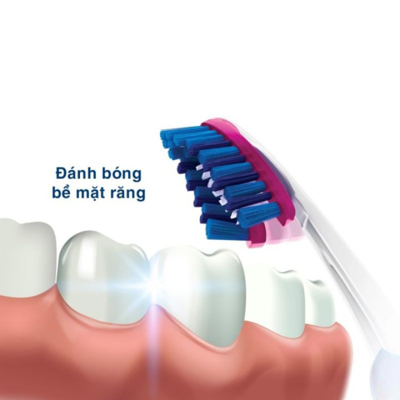 Bàn chải Oral-B cao cấp Trắng Sáng 3D White - Vỉ 1 cây