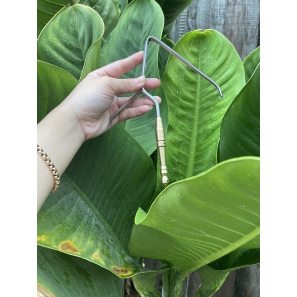 Móc trụ ty đồng chẻ cu gáy PILE khoan lỗ theo yêu cầu