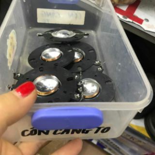 Côn loa càng tép to