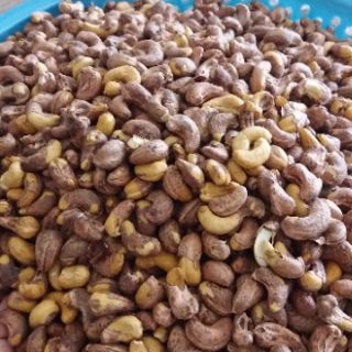 Hạt điều bình phước