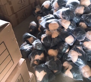 Đầu ken học tóc (Tặng cây + Quà)