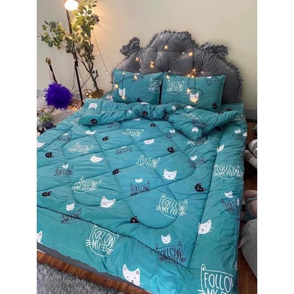 Bộ 5 món chăn phao ga gối poly cotton hàng loại 1 Chăn Bông Như Hình được chọn mẫu
