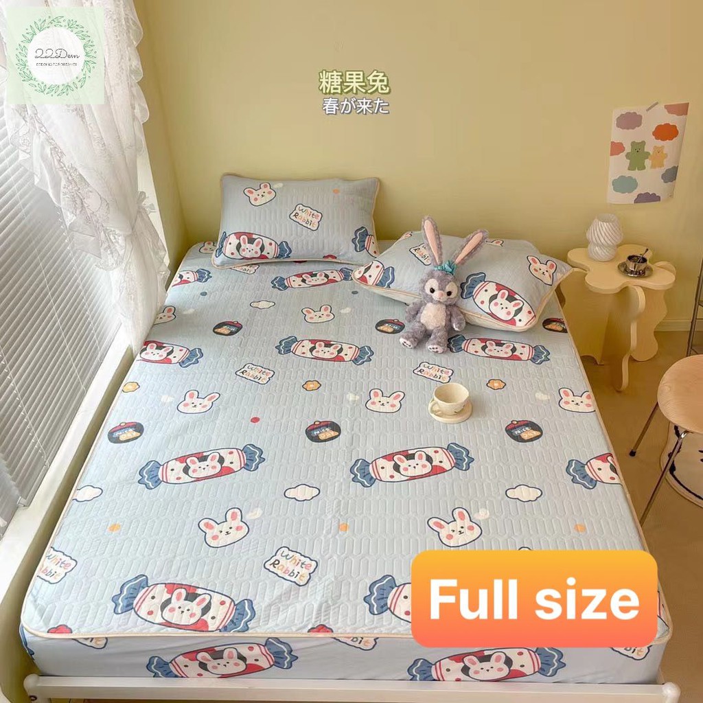 Chiếu Điều Hòa Cao Su Non Tencel Có Bọc Đệm Họa Tiết 5D, Hàng Cao Cấp 1m6, 1m8, 2m, 2m2