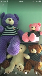 Gấu bông teddy 1m6( khổ vải)