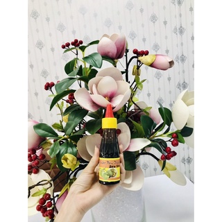Nước Màu Dừa