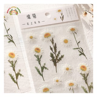 STICKER HOA KHÔ VER.1 | MST254