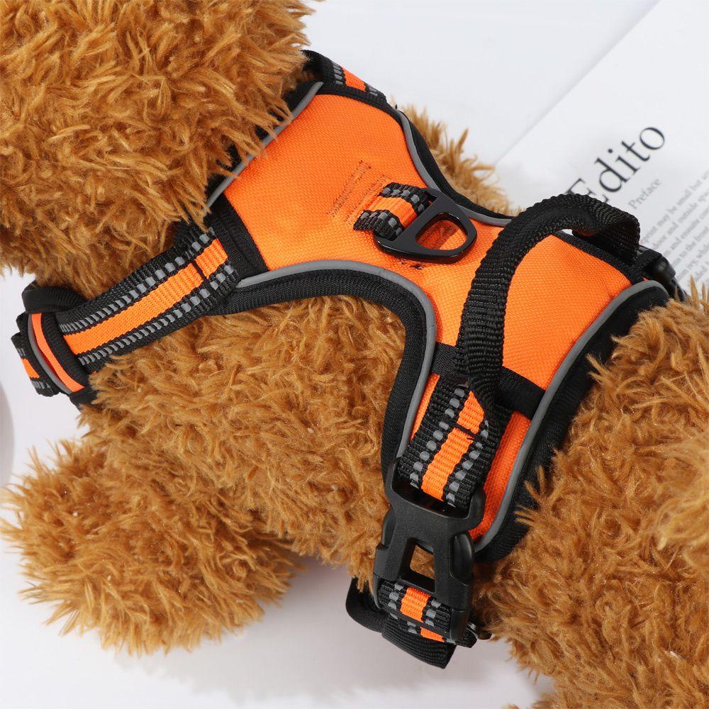 Áo Vest Kèm Dây Dắt Đi Dạo Tiện Dụng Dành Cho Chó Cưng