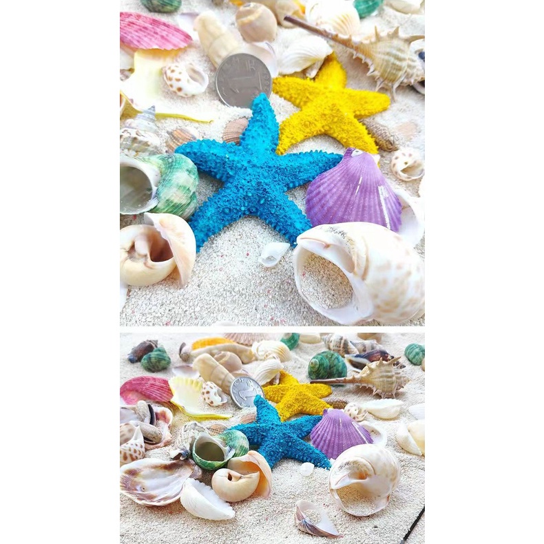Vỏ Sò / Sao Biển Nhân Tạo Trang Trí Bể Cá