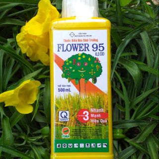 Kích thích sinh trưởng siêu ra hoa đậu trái FLOWER 95