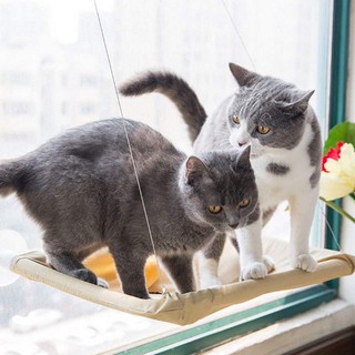Võng nằm tắm nắng cho mèo, võng gắn kính cho mèo